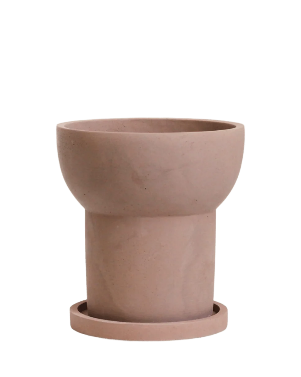 Halo Planters - Image 7