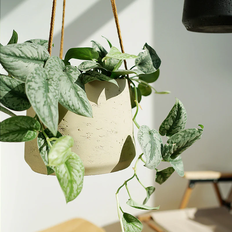 Hanging Nook Pot - Small - Image 2