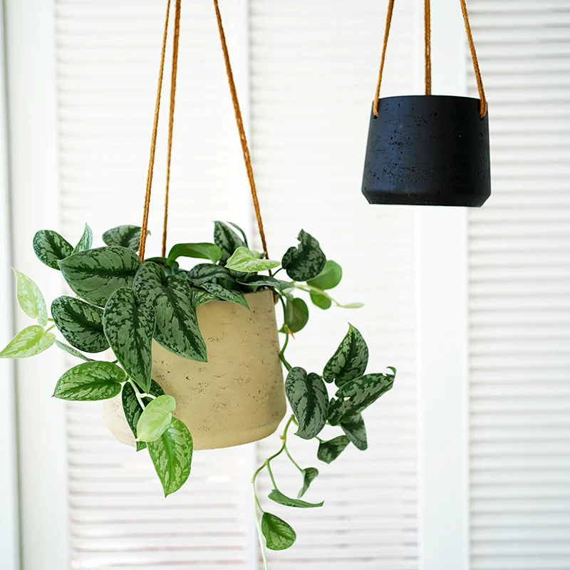 Hanging Nook Pot - Large - Image 2