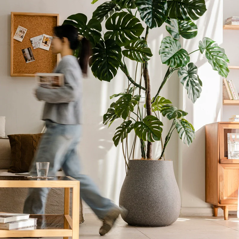 Haven Pot