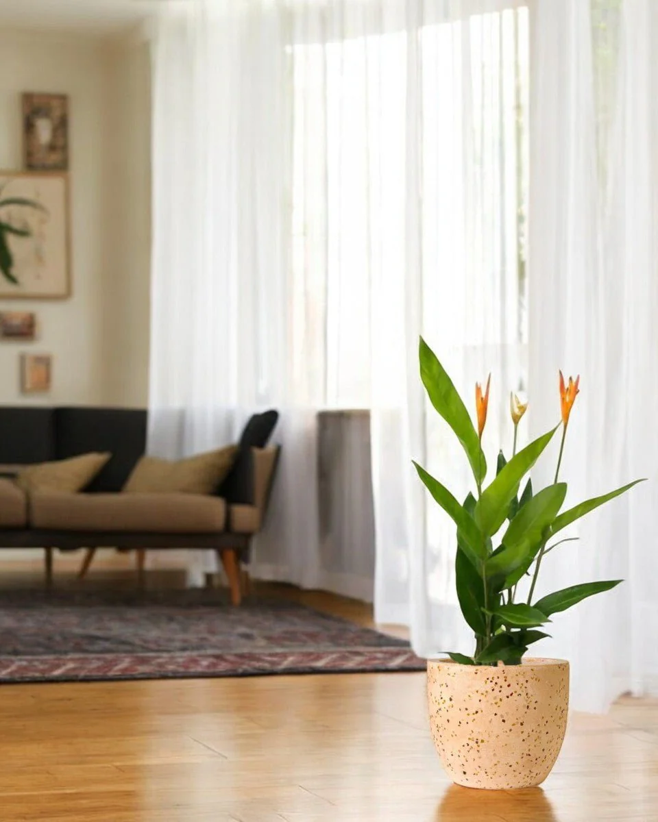 Heliconia - Tall - Image 5