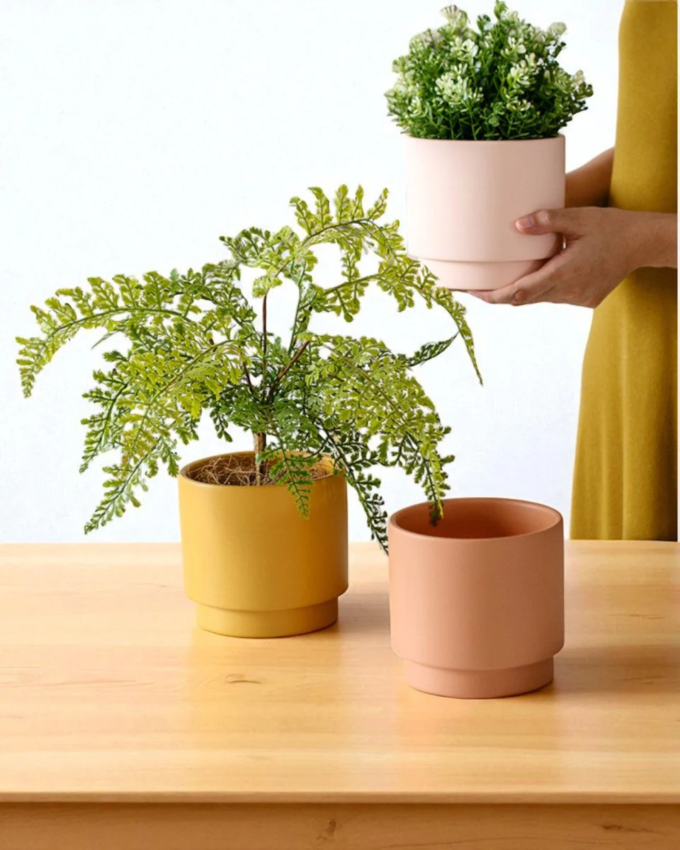 Hyde Planter - Small - Image 3