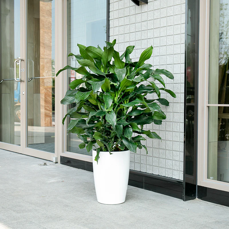 HydroEase Tall Self-Watering Planter - L