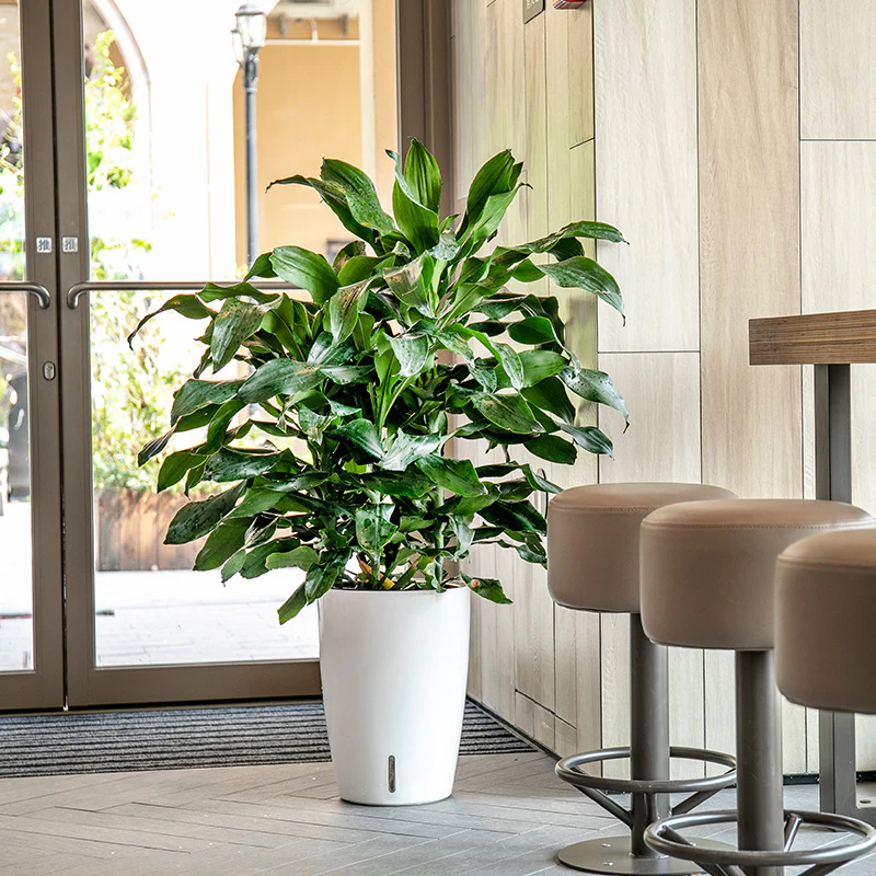 HydroEase Tall Self-Watering Planter - L - Image 4