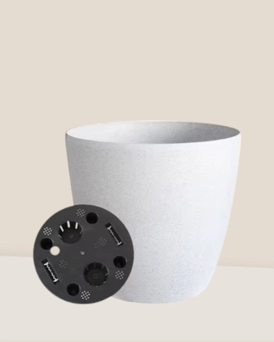 Indoor Self Watering Planter - Large