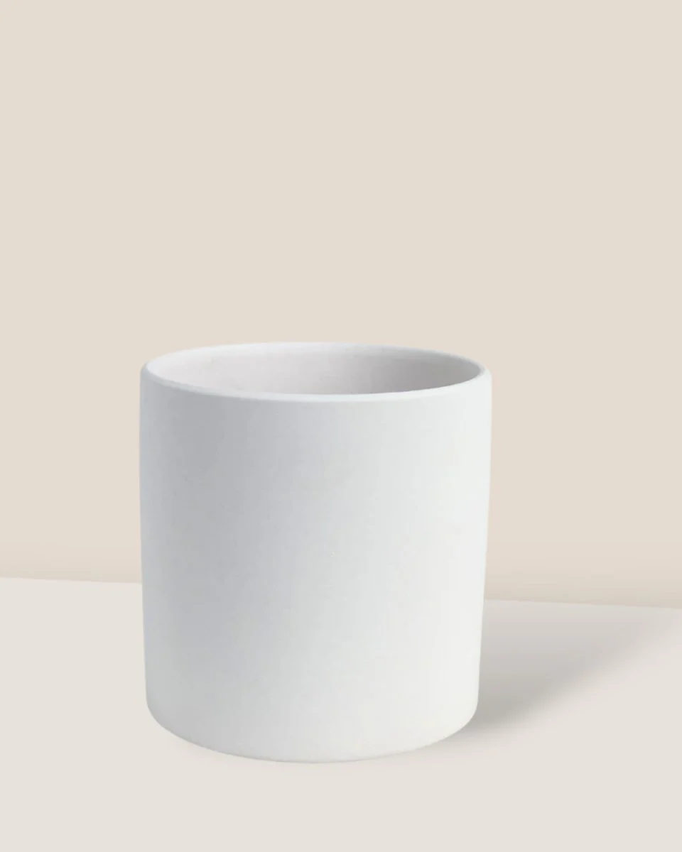 Ivory Essence Ceramic Pot - Image 3
