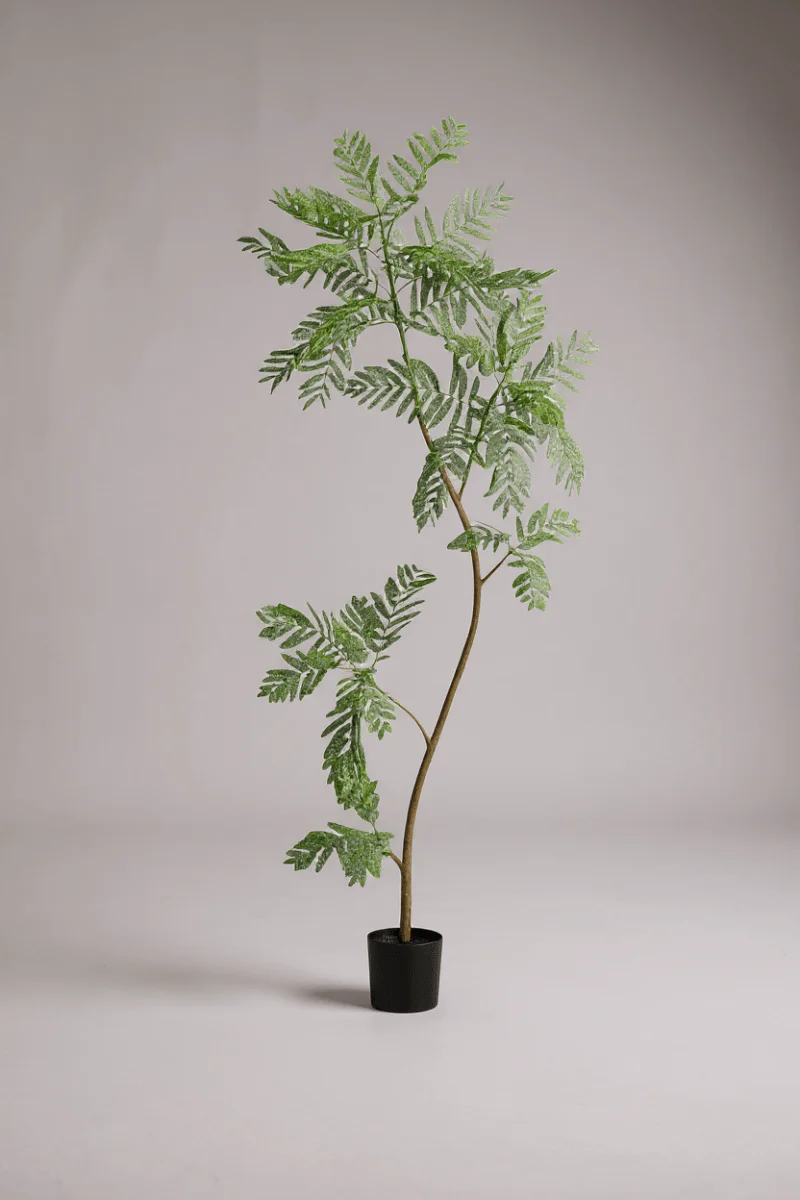 Jacaranda Tree (Life-like Artificial) - Image 10