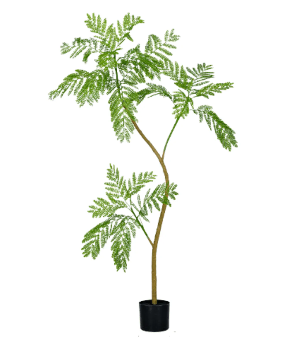 Jacaranda Tree (Life-like Artificial) - Image 15