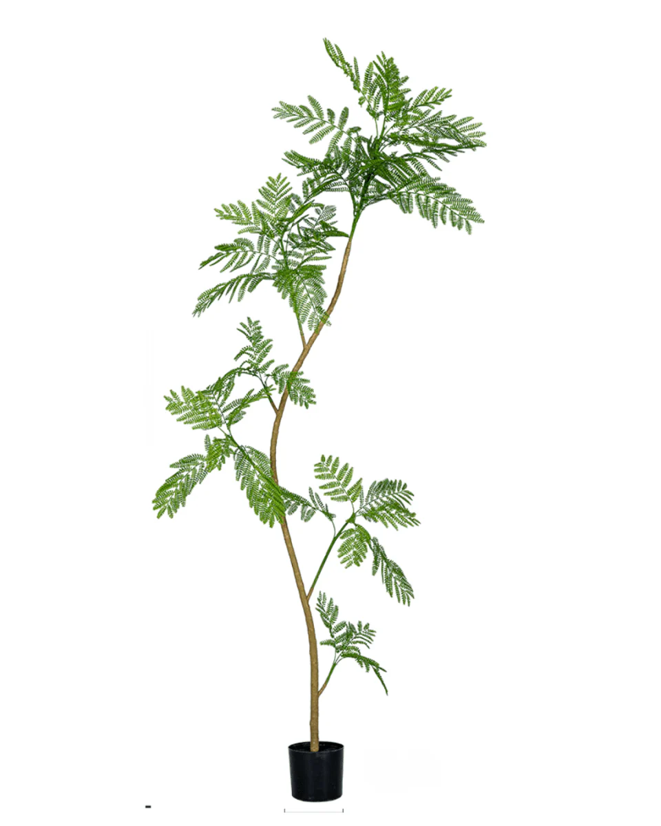Jacaranda Tree (Life-like Artificial) - Image 18