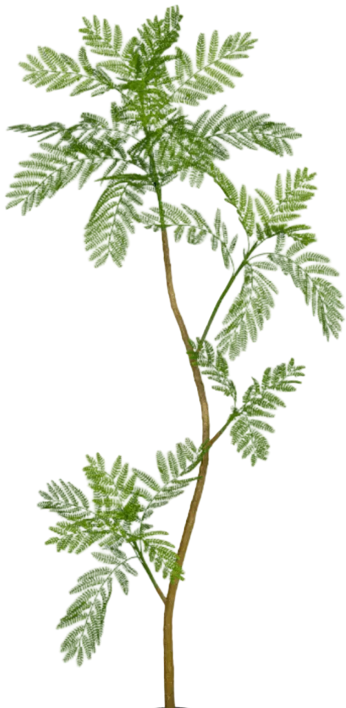 Jacaranda Tree (Life-like Artificial) - Image 22