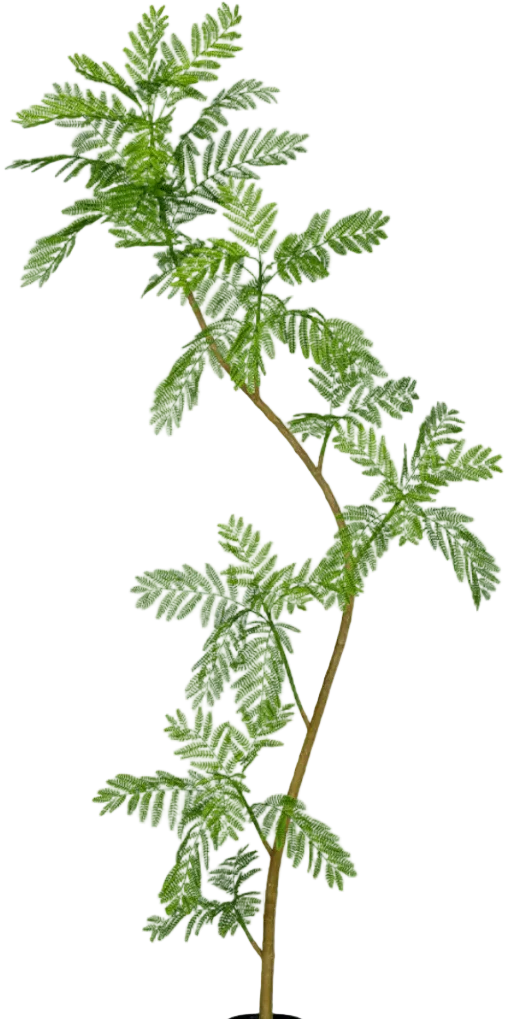 Jacaranda Tree (Life-like Artificial) - Image 25