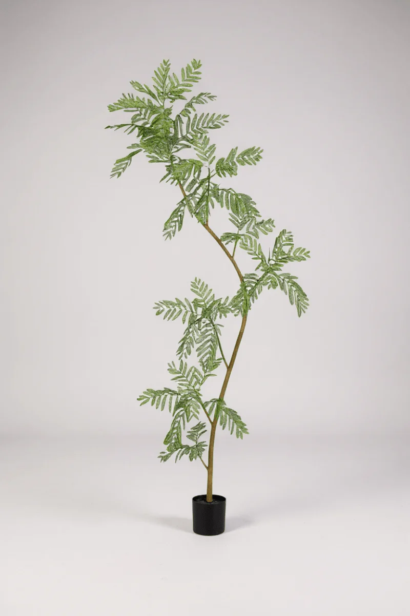 Jacaranda Tree (Life-like Artificial) - Image 9