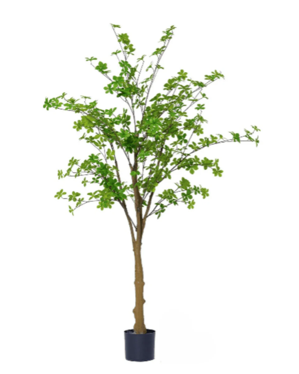 Japanese Andromeda (Life-like Artificial) - Image 13