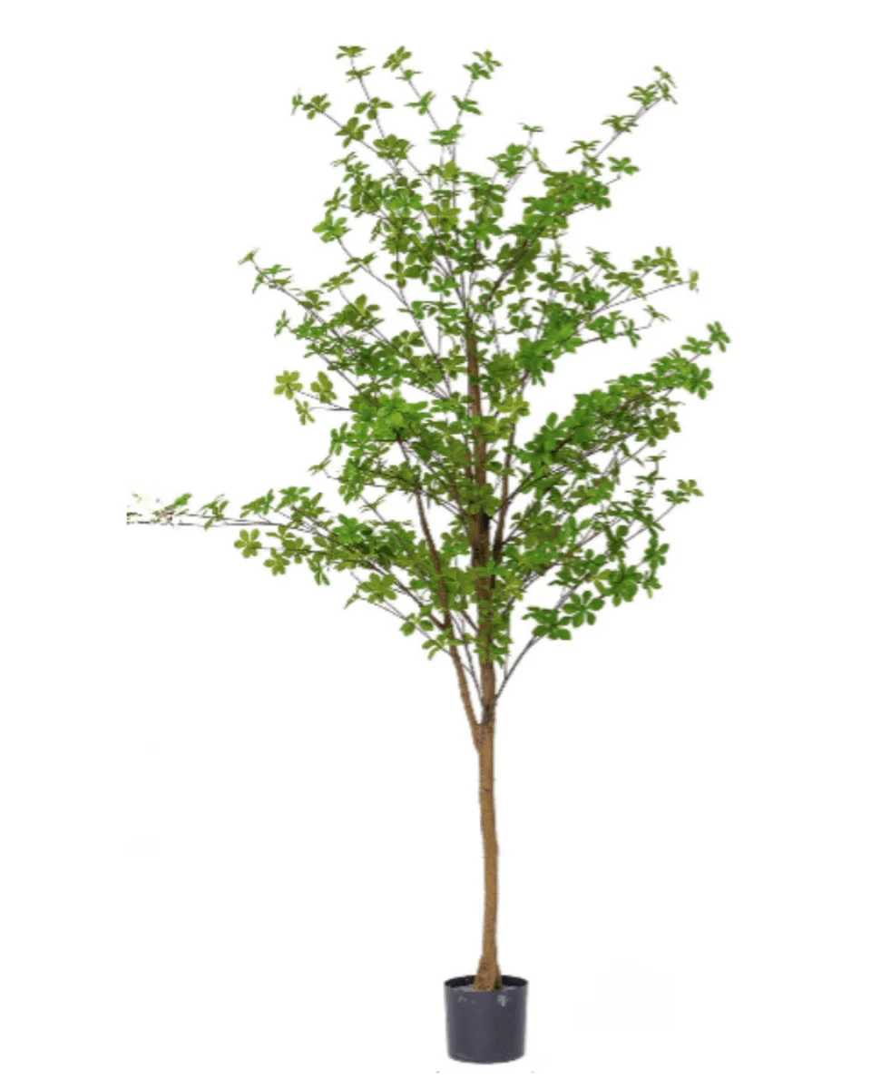 Japanese Andromeda (Life-like Artificial) - Image 14
