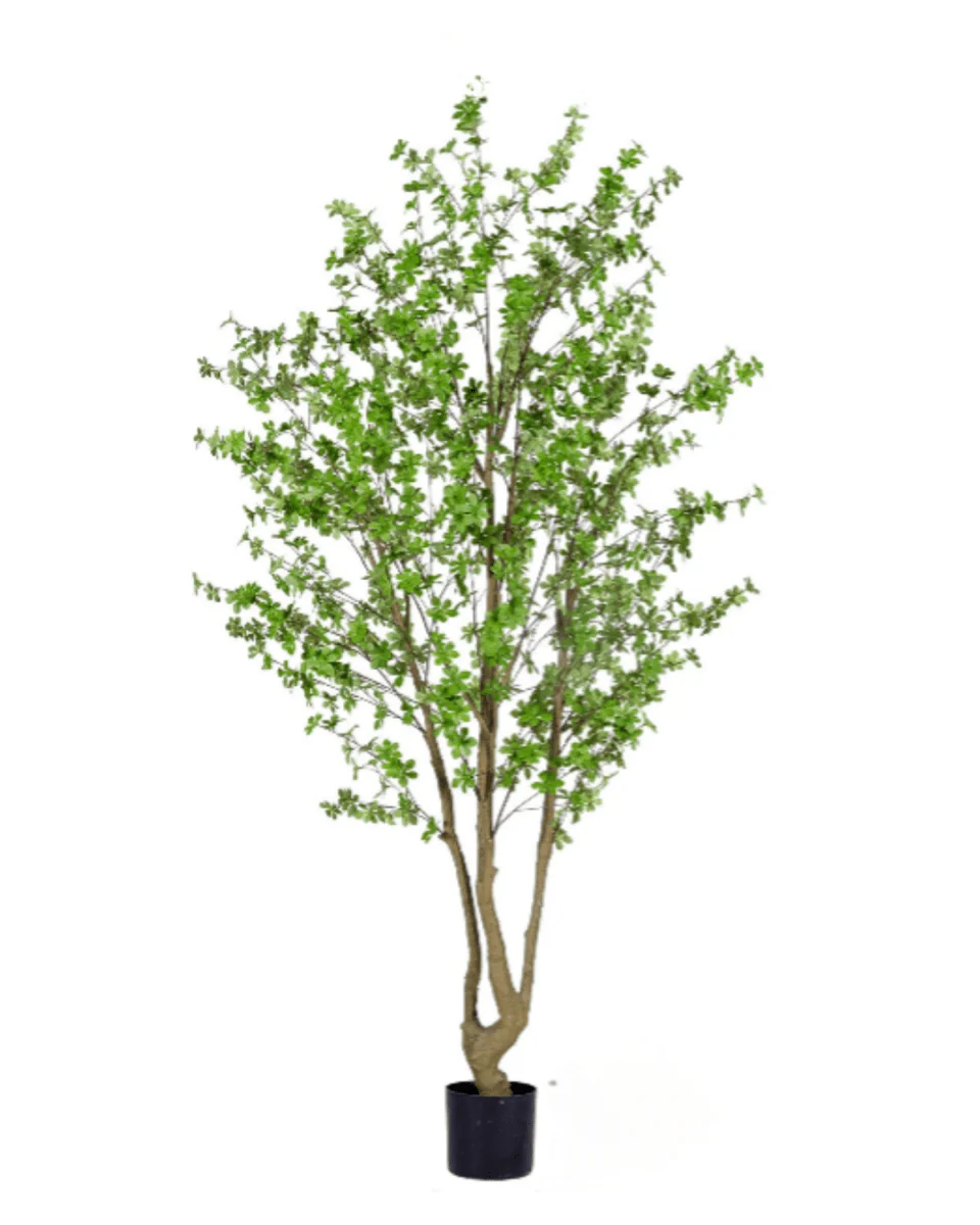 Japanese Andromeda (Life-like Artificial) - Image 16