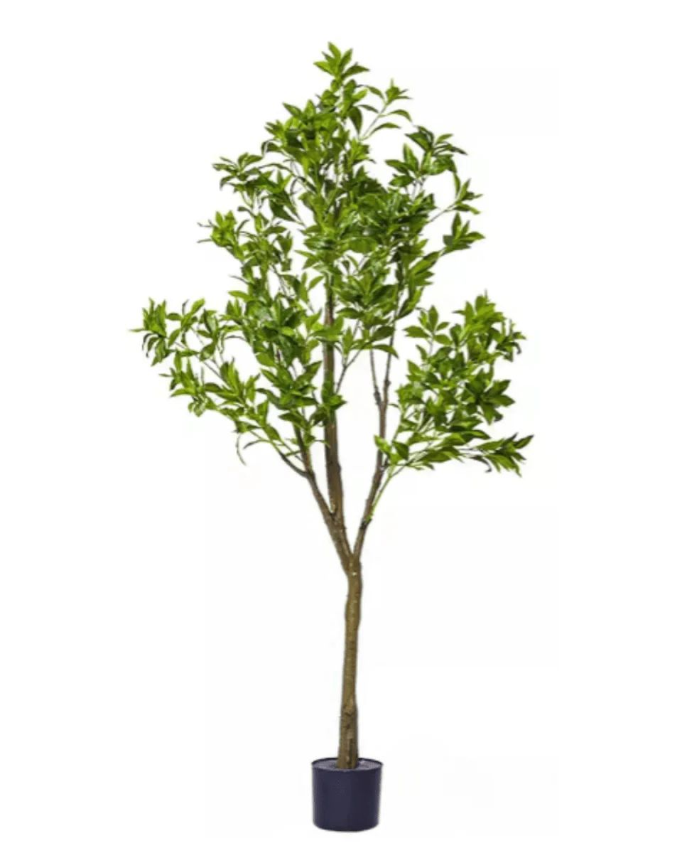 Japanese Andromeda (Life-like Artificial) - Image 17