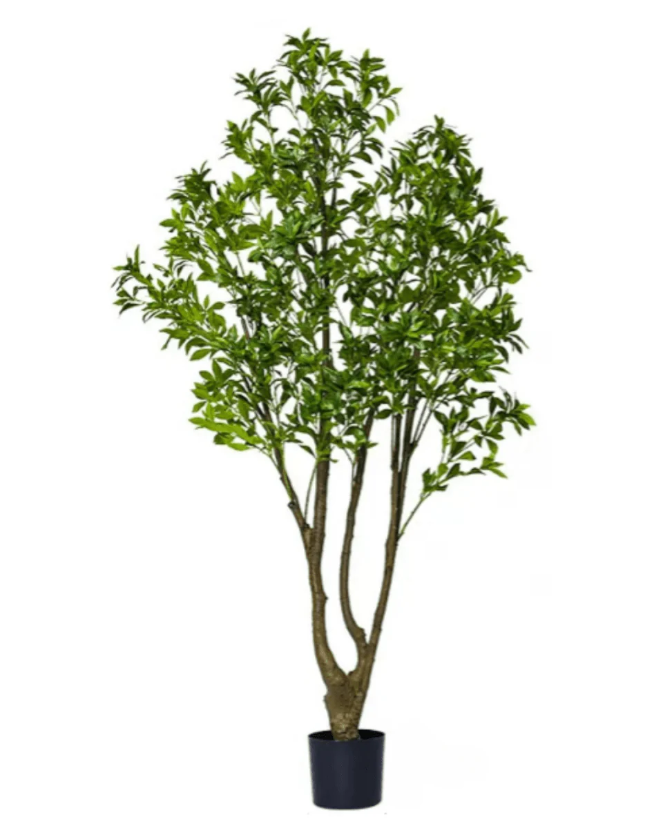 Japanese Andromeda (Life-like Artificial) - Image 18