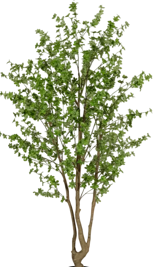 Japanese Andromeda (Life-like Artificial) - Image 22