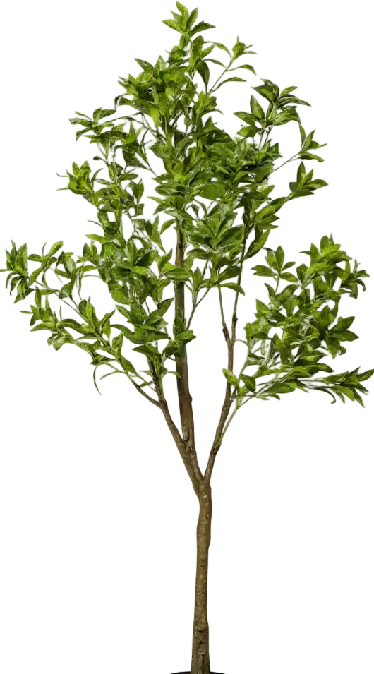 Japanese Andromeda (Life-like Artificial) - Image 23