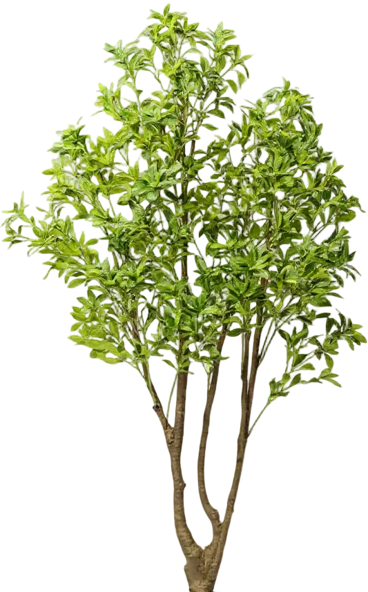 Japanese Andromeda (Life-like Artificial) - Image 24