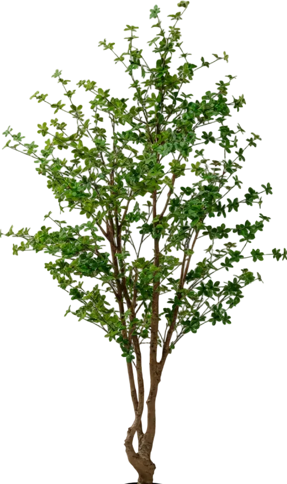 Japanese Andromeda (Life-like Artificial) - Image 25