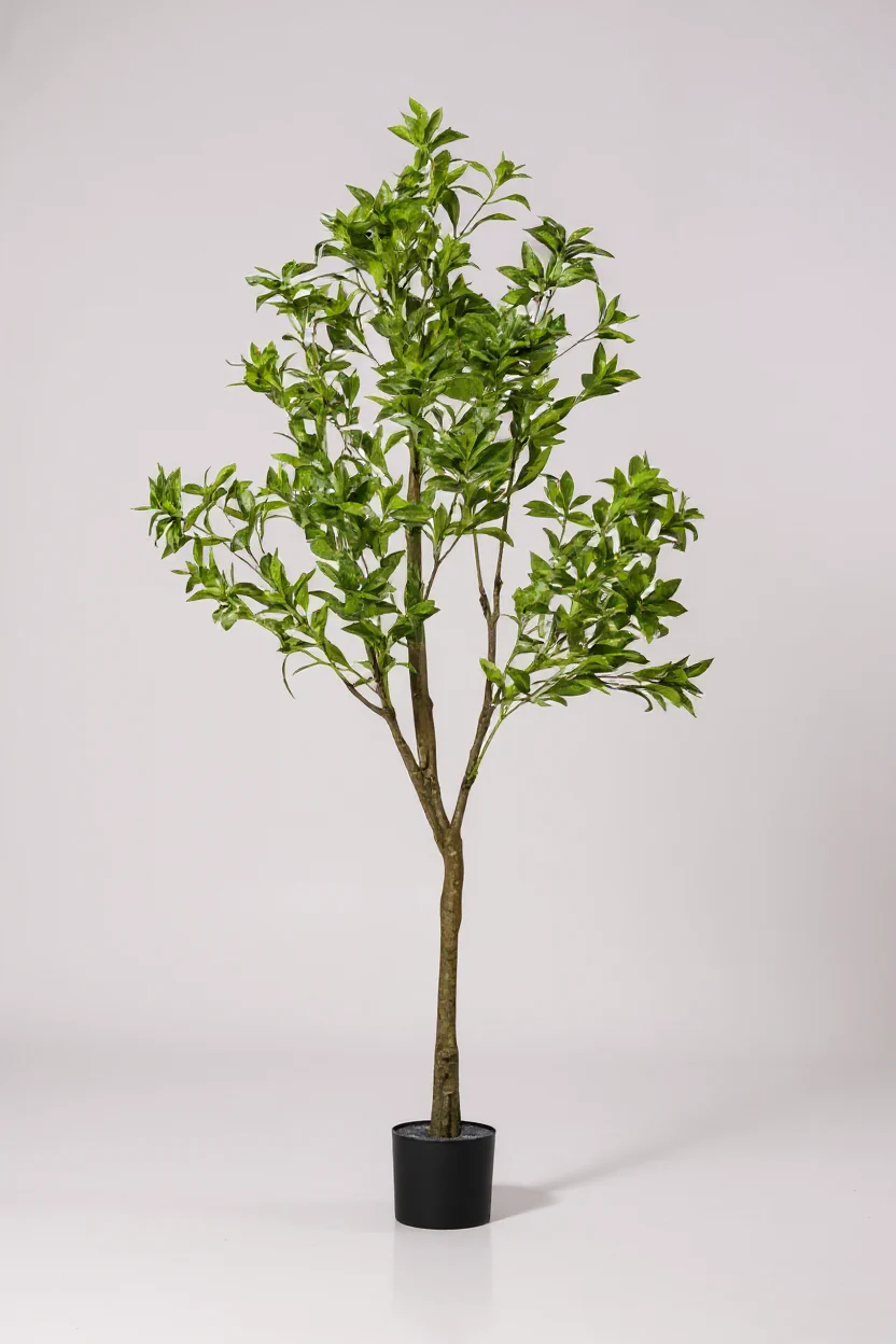 Japanese Andromeda (Life-like Artificial) - Image 3