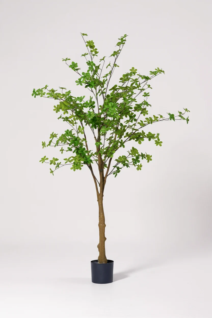 Japanese Andromeda (Life-like Artificial) - Image 4