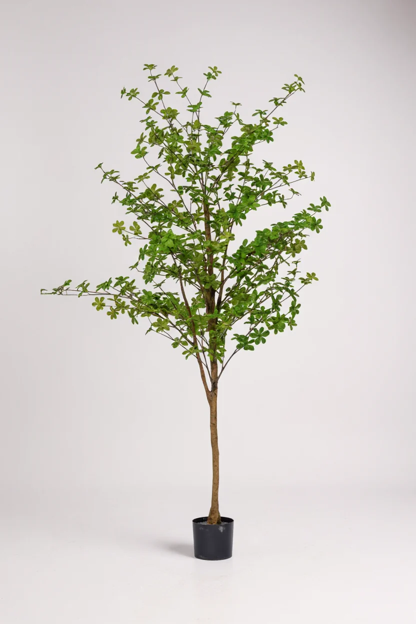 Japanese Andromeda (Life-like Artificial) - Image 6