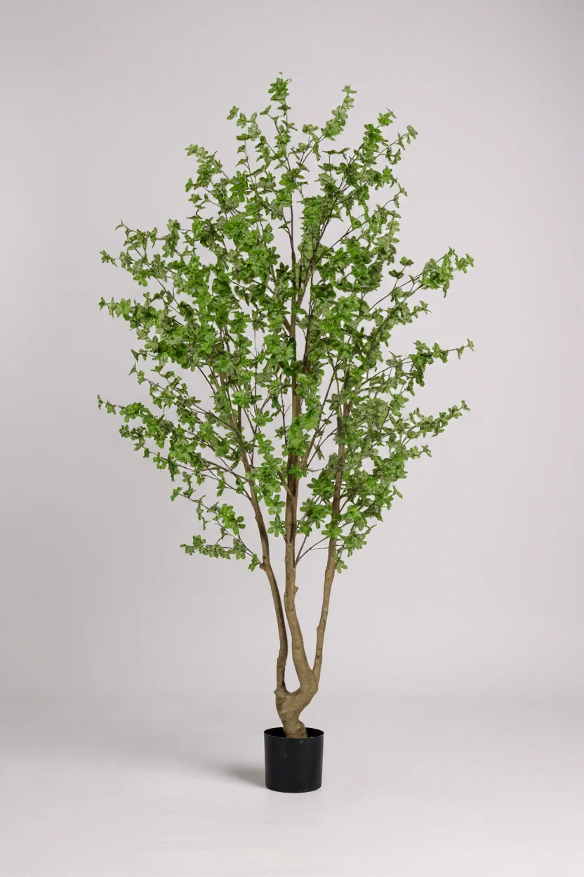 Japanese Andromeda (Life-like Artificial) - Image 9
