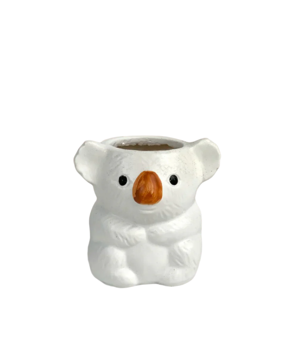 Koala Planters - Image 10