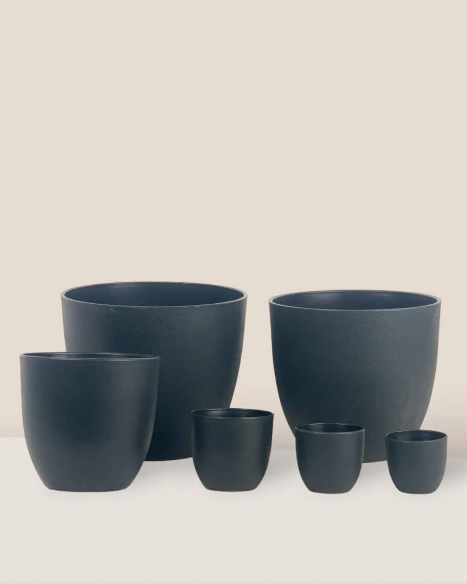 Luxe Plastic Pot - Large