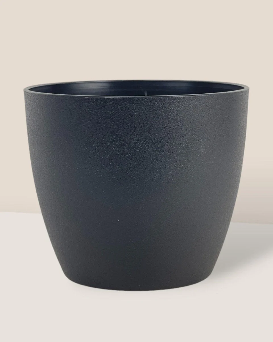 Luxe Plastic Pot - Large - Image 2