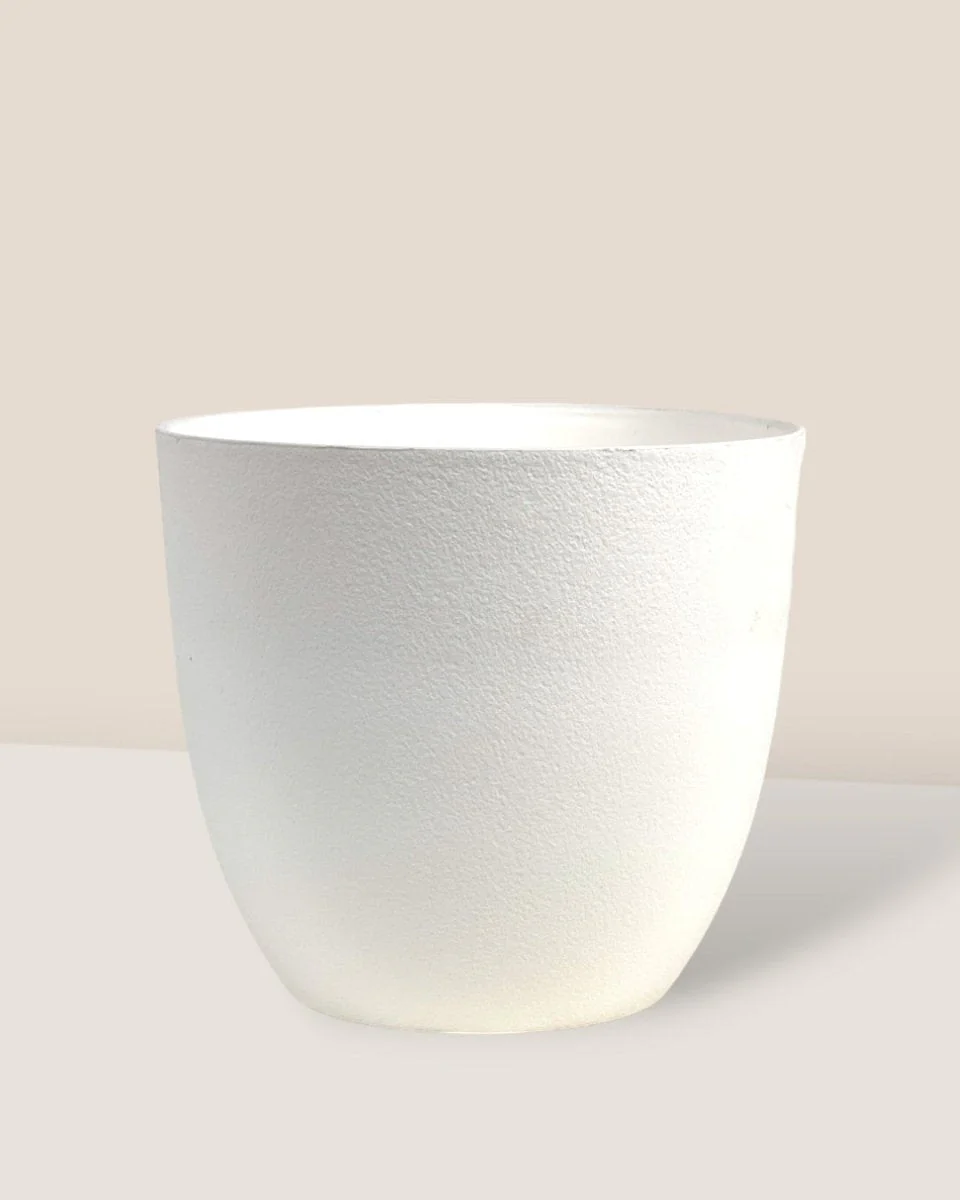 Luxe Plastic Pot - Large - Image 5
