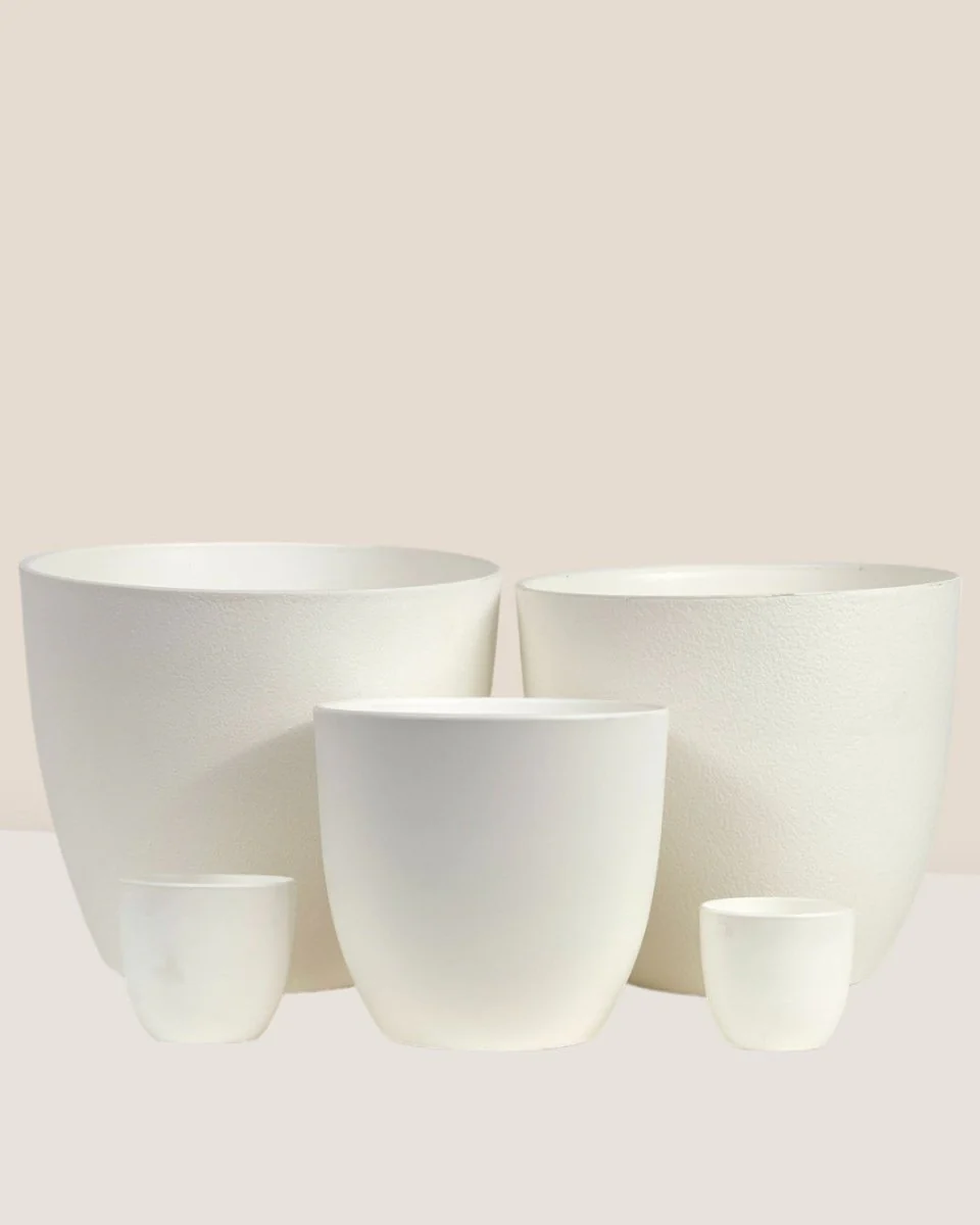 Luxe Plastic Pot - Large - Image 6
