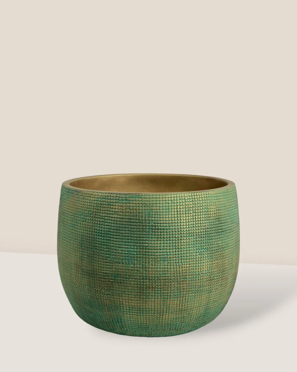 Little Bauble Planter - Image 2