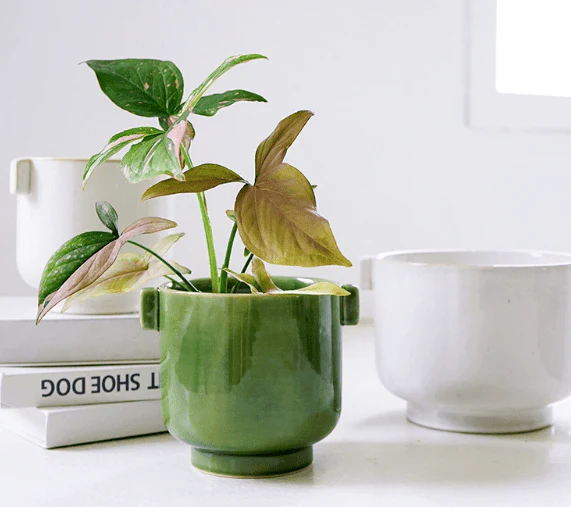 Livia Planter - Image 10