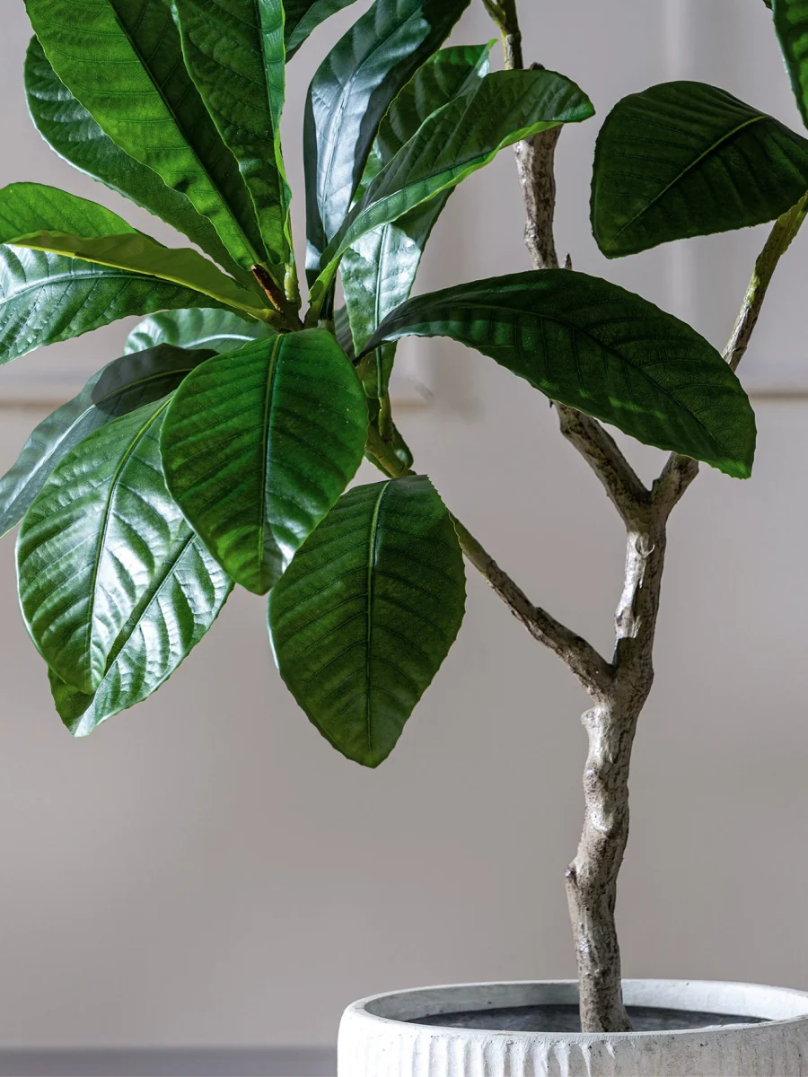 Loquat Tree (Life-like Artificial) - Image 2