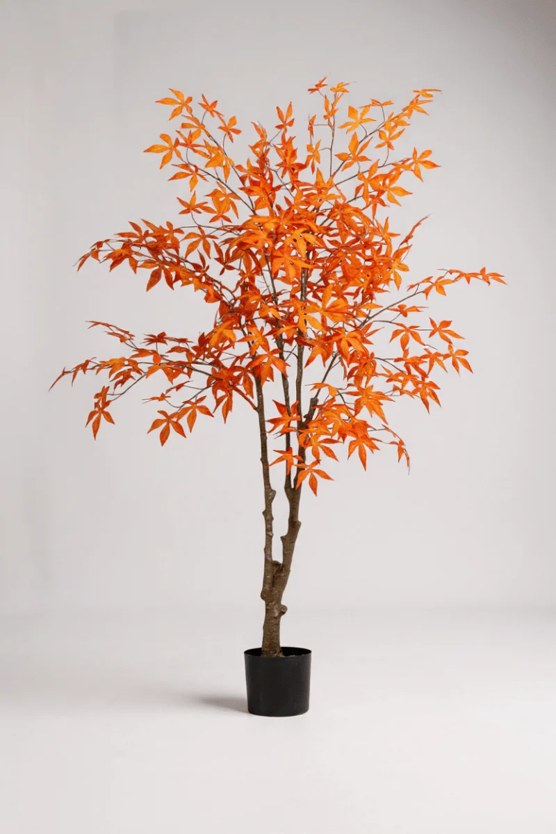 Maple Tree (Life-like Artificial) - Image 2