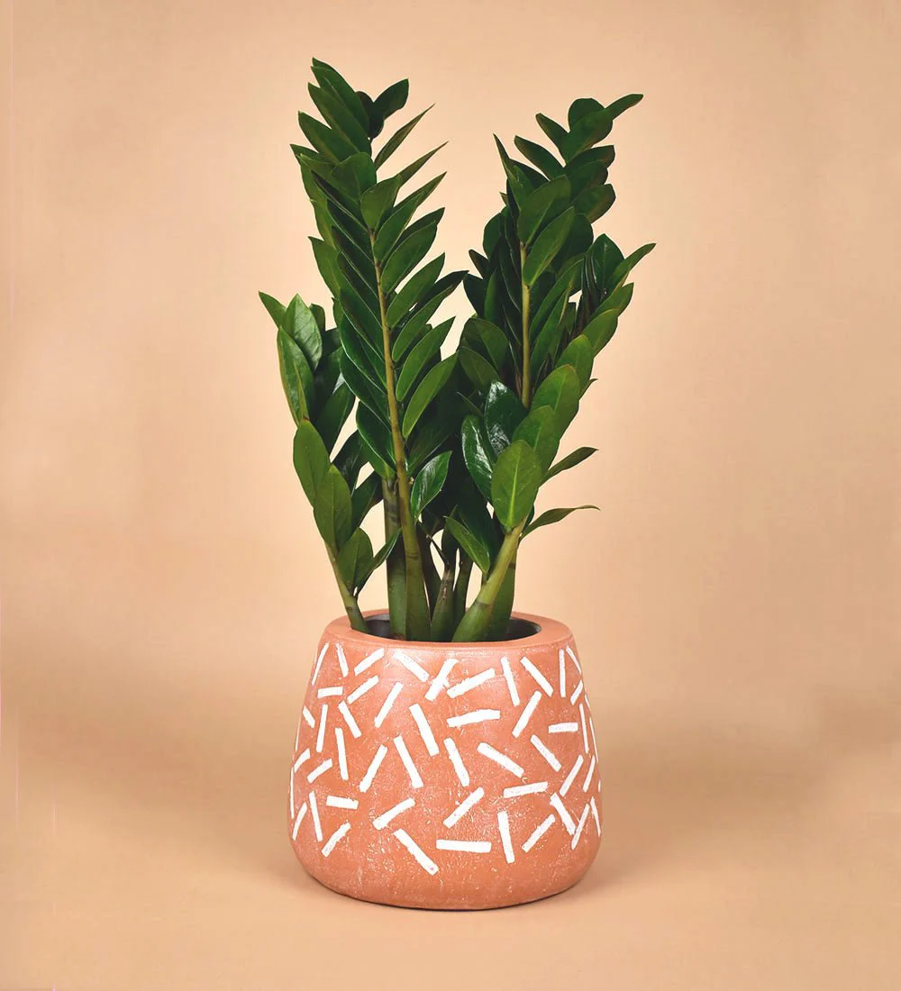 Matchstick Planter