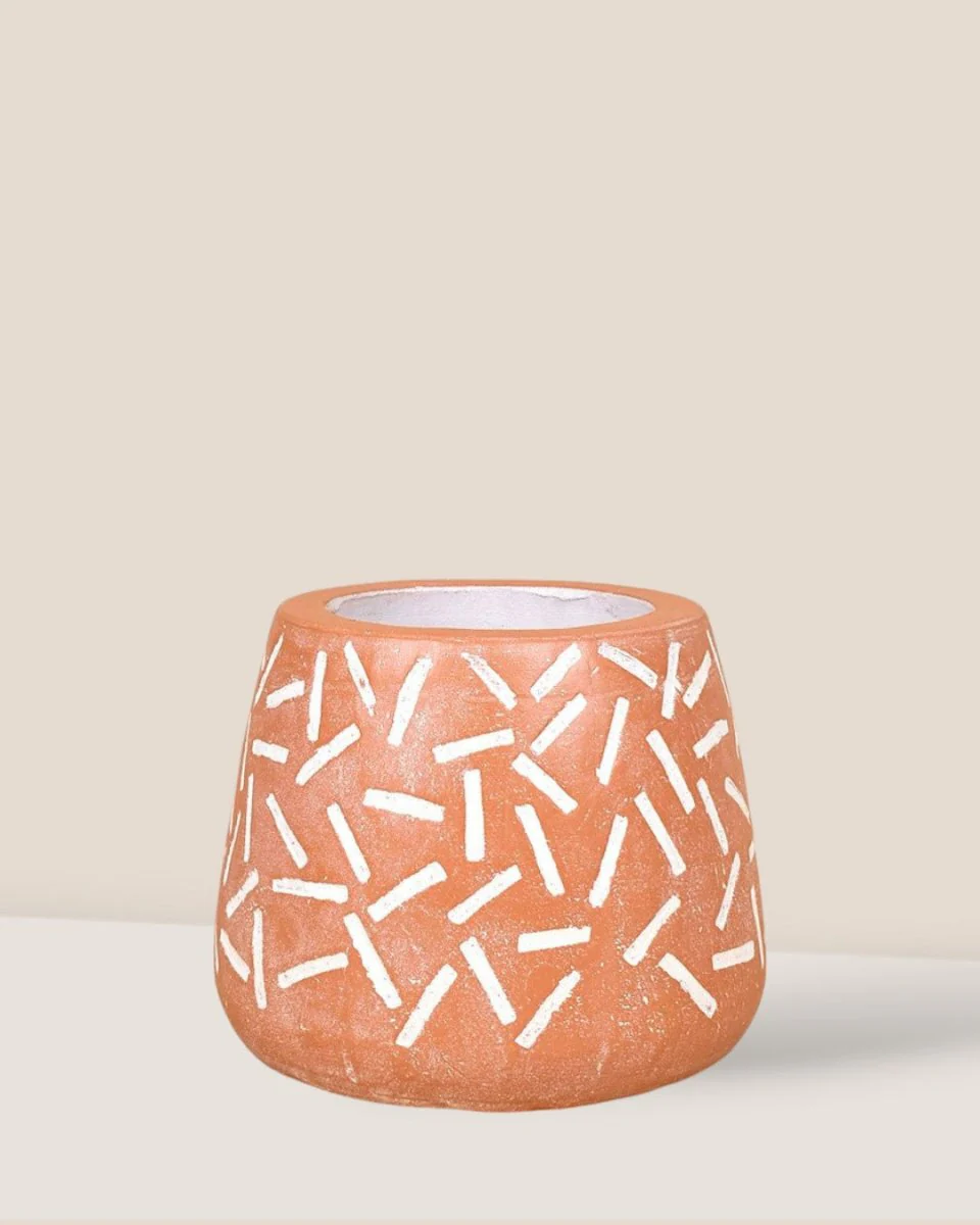 Matchstick Planter - Image 3