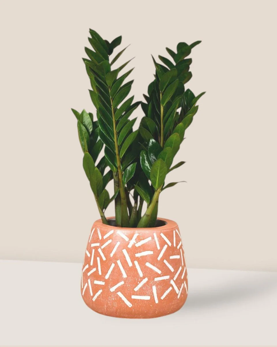 Matchstick Planter - Image 4