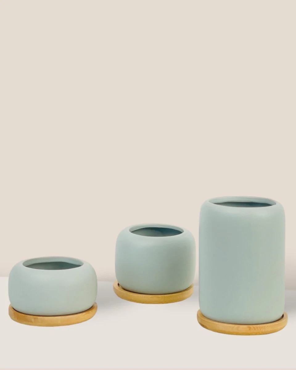 Matte Marine Grey Cement Pot with Wooden Tray - Tall - Image 2