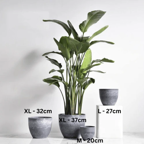 AirStone Egg Pots - Medium - Image 11