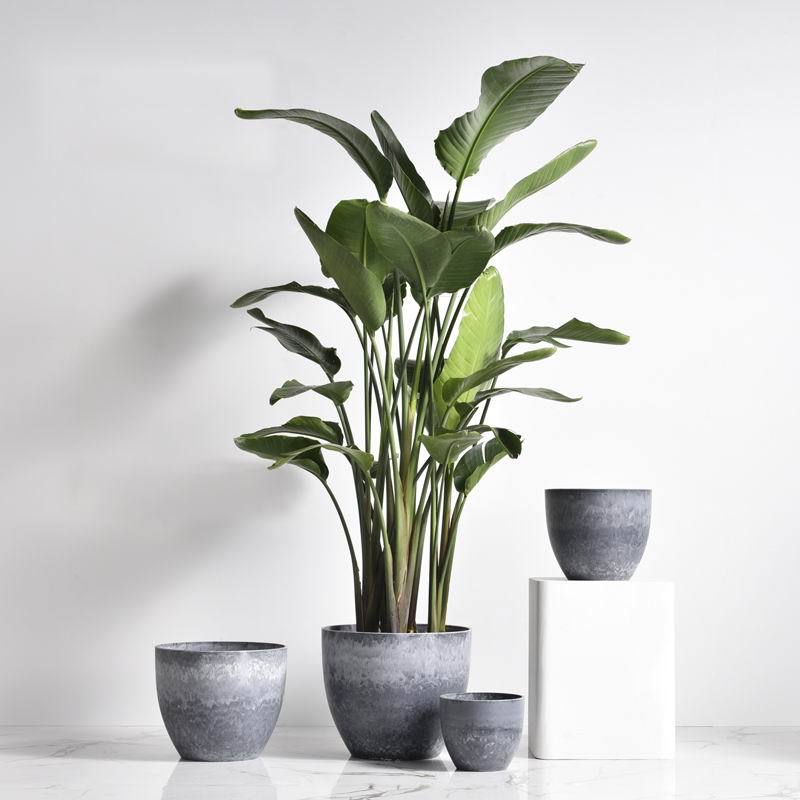 AirStone Egg Pots - Medium - Image 6