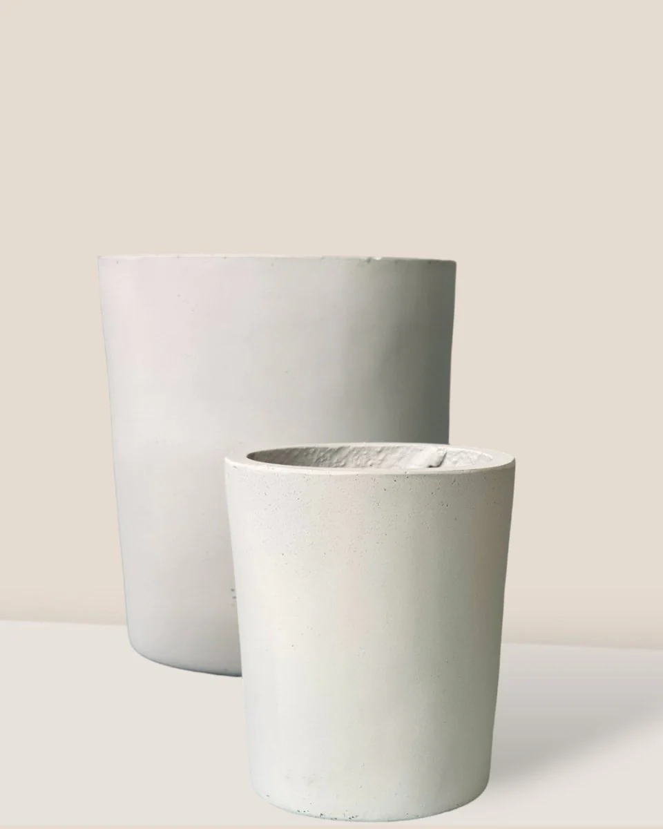 Aurora Clay Pot - Medium - Image 4