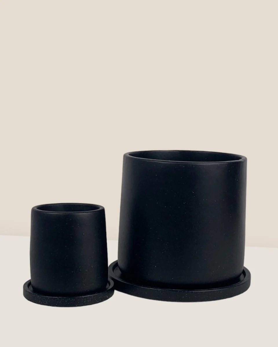 Brindle Pot - Medium - Image 4