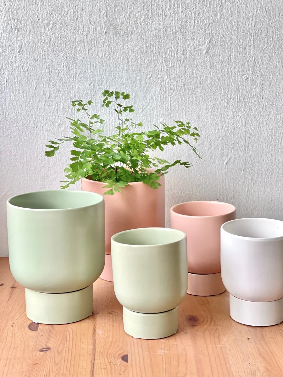 Nicole Ceramic Pot - Medium - Image 10