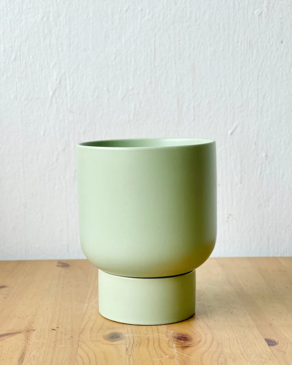 Nicole Ceramic Pot - Medium - Image 3