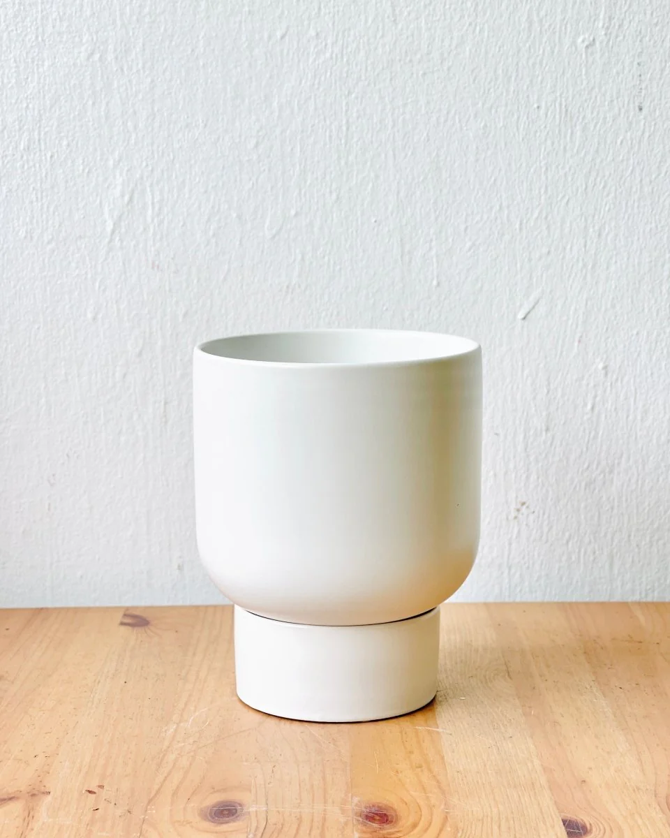 Nicole Ceramic Pot - Medium - Image 7
