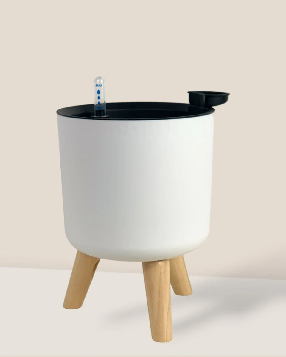 Self Watering Pot with Stand - Medium